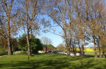 Gut-Rattelvitz-Galerie-D-hochwertig-Sauna-Kamin-eTankstelle-Spielscheune-15-000qm-Parkland - Photo 66