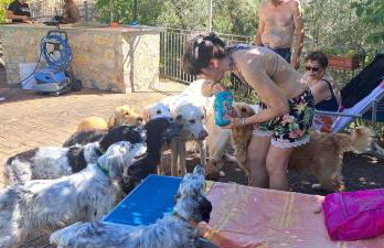 SetterHouseAgriHotel - Photo 17