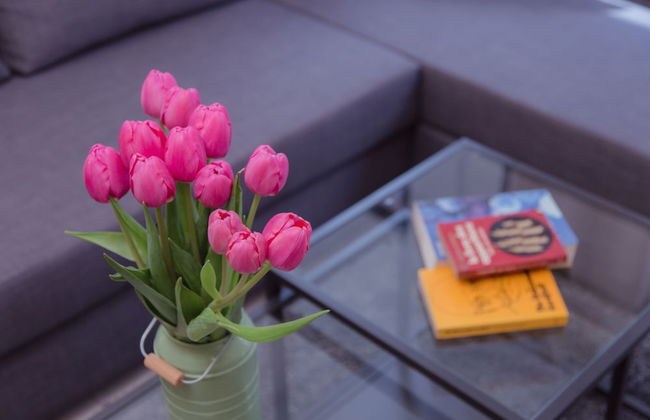 Shenkin Vilmar Apartments - Foto 19