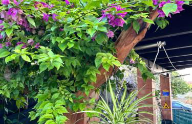 B&B Ginepro blu - Foto 2