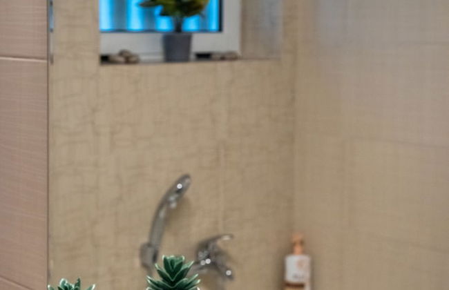 Blue Ark Acropolis Spirit - Foto 33