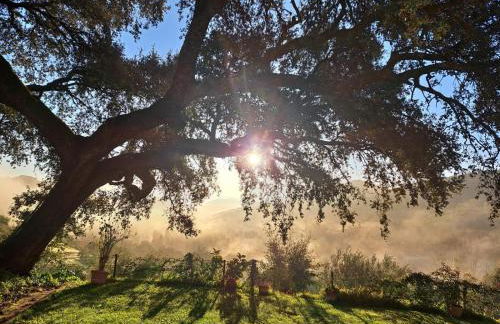 Casa rural Villa Manuela - Photo 41