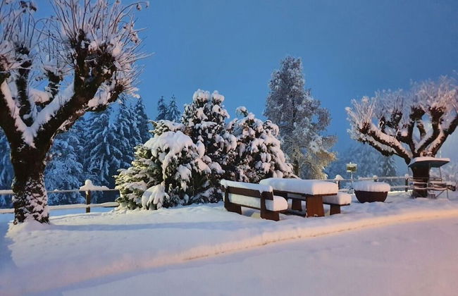 Apartment Chalet Beatrice Share - Foto 20