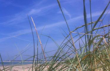 Le Caribou d'Eva - Foto 22