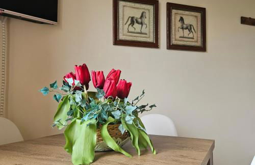 AGRIFOGLIO - Photo 23