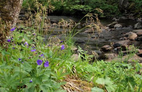 Kiln House, Keltneyburn - Foto 30