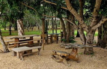 Rancho Flamboyant Lazer - Foto 28