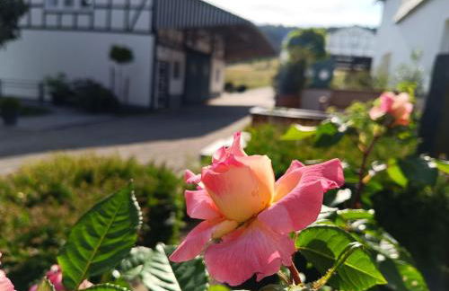 kleine AusZeit - Foto 23