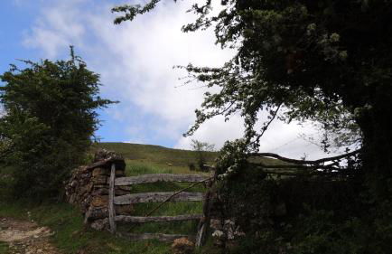 Apartamentos Rurales Balcón Real Senda del Oso - Foto 59