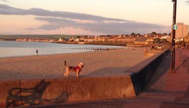 Edinburgh Seaside Apartment - Foto 5