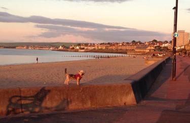 Edinburgh Seaside Apartment - Foto 5