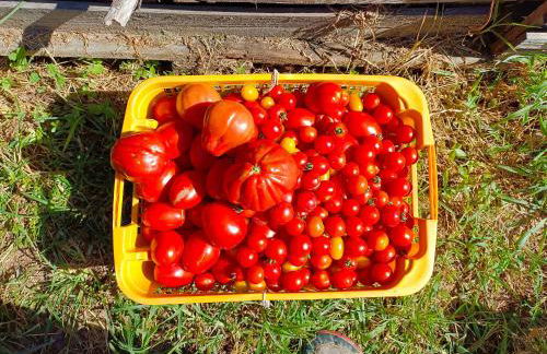 Tra lago e montagne home nonna Maria - Foto 26