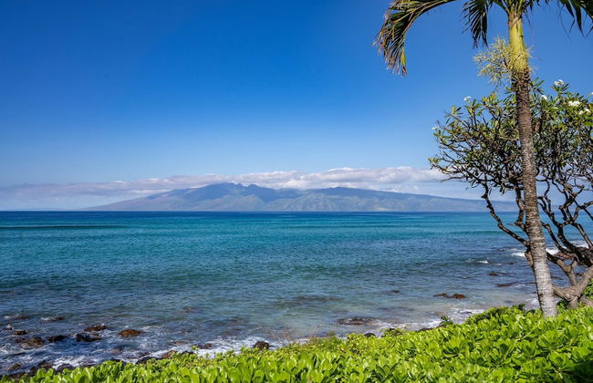 Kuleana 405 Oceanfront 1Bedroom 1 Condo by RedAwning - Foto 42