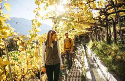 Residence Montani - Foto 10