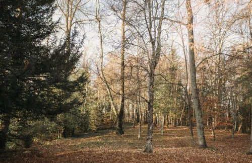 Majordoms - Castell de Villavecchia - 20 pax - Foto 33