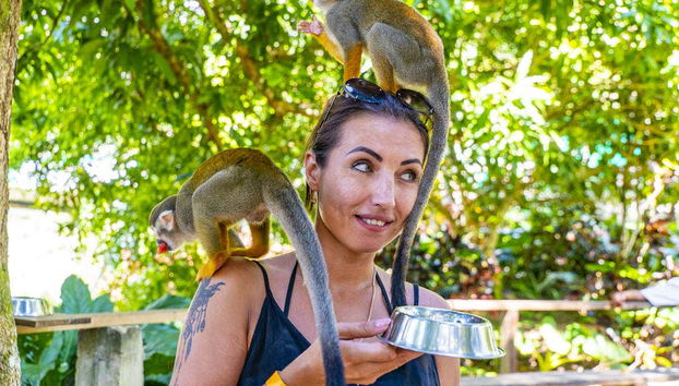 Alimentando a los monos del parque
