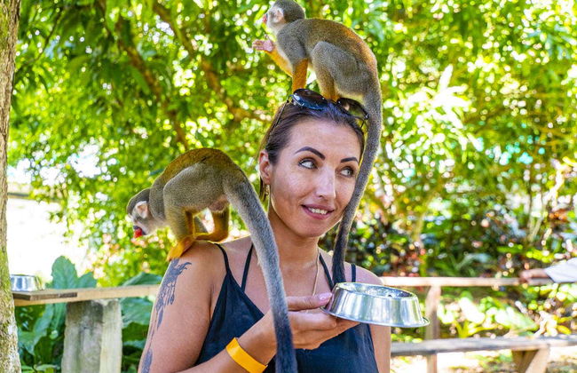 Excursion à Monkeyland - Photo 4