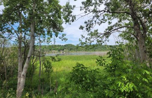 White Birch - Riverfront and Newly-Remodeled! - Foto 10