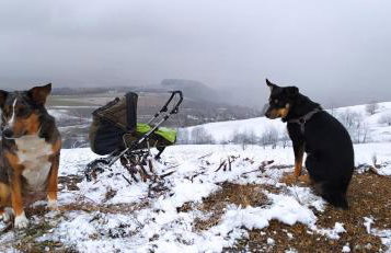 Agroturystyka U Baltazara - Foto 18