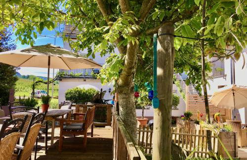 Ferienweingut Matthias Löwen - Foto 65