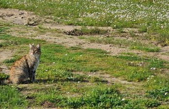 Herdade das Castas Nobres - Foto 124