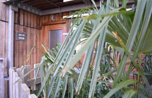 South House - Foto 8