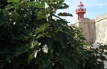 New Wave "The best place" - Foto 37