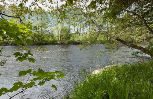 Greystead Institute - Foto 48