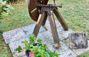 Società agricola le more Agriturismo La Dondina - Photo 18