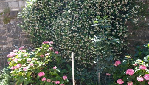 Discover Appennino - Via Roma 64 - Montecreto - Foto 2