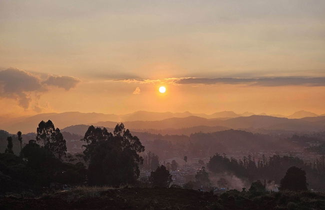 Songs of the Nilgiris - Foto 31