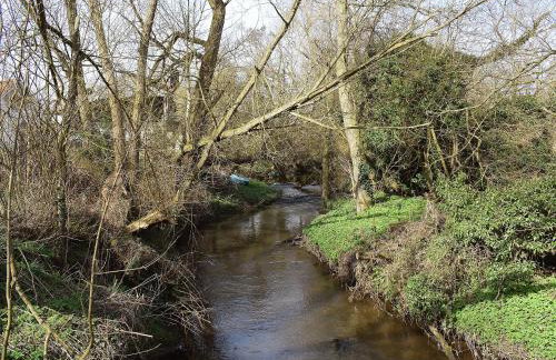 Seventh Heaven - Photo 19