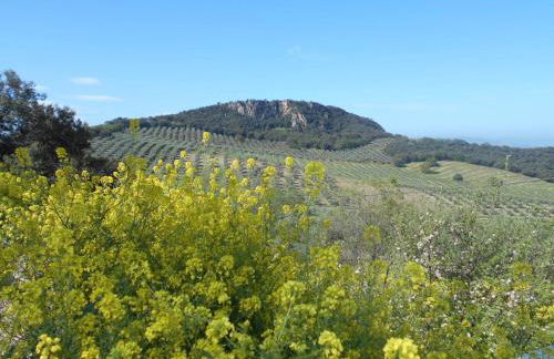 La Casita, Zagra - Foto 8