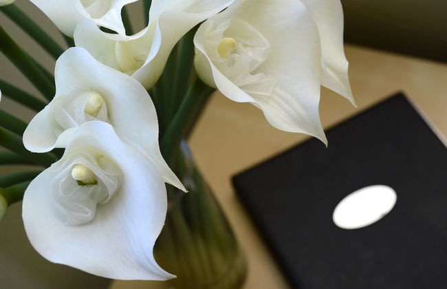 Birches Serviced Apartments - Foto 15