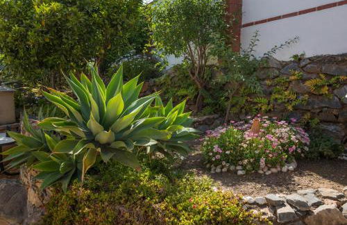 Villa Manzanilla, Malaga - Photo 50