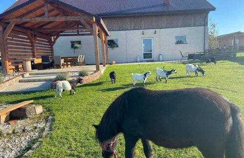 Agroturystyka Nad Łąkami - Foto 14