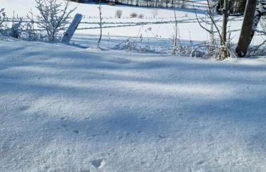 Ferienwohnung Lolek - Foto 26