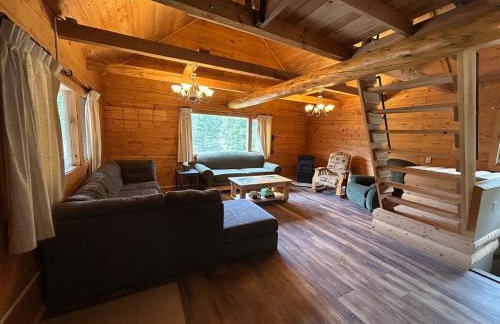 Amphitheater Mountain Cabin - Foto 18