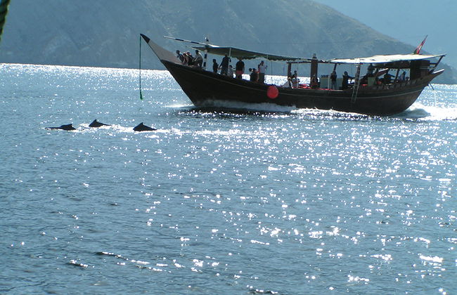 Delfin-Kreuzfahrt - Foto 1