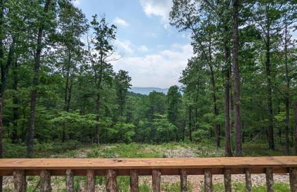 Hasty Cutoff Cabin - Foto 78