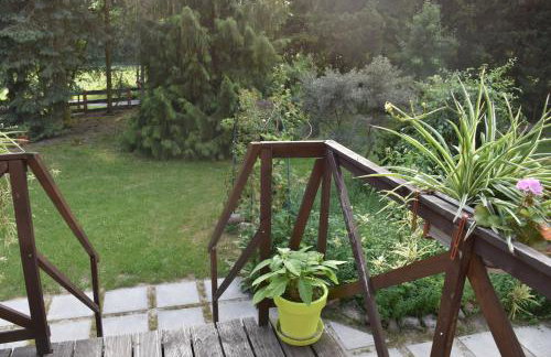 Gosciniec Pod Debem - Foto 48