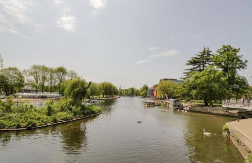 The Bit on the Side - Foto 11