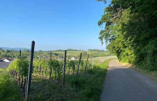 3 Zimmer Whg Reblandliebe, Nähe Europapark, Straßburg, Weinberge - Foto 6