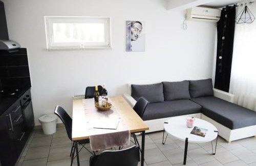 Apartment Sandra Toplice Sveti Martin - Foto 6