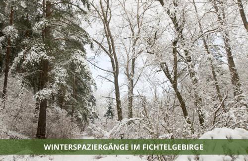 Die Fichtelsuite 1-6 Pers Ferienwohnung nahe Ochsenkopf Süd 800m in Fleckl - Foto 27