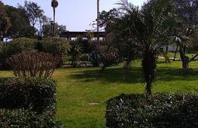 Appt plage et soleil - Foto 4