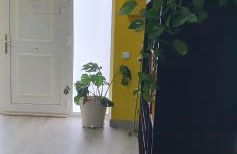 Apartamento Rosellón - Foto 54