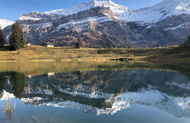 Alpenchalet Weidhaus - Foto 67