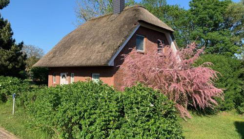 Ferienhaus Clara - Foto 2