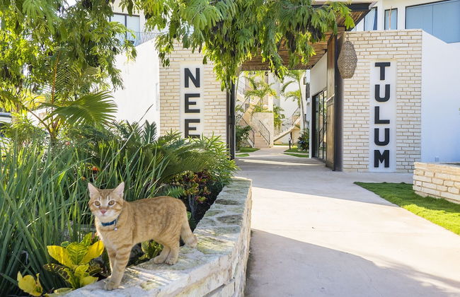 Neem Tulum - Foto 66